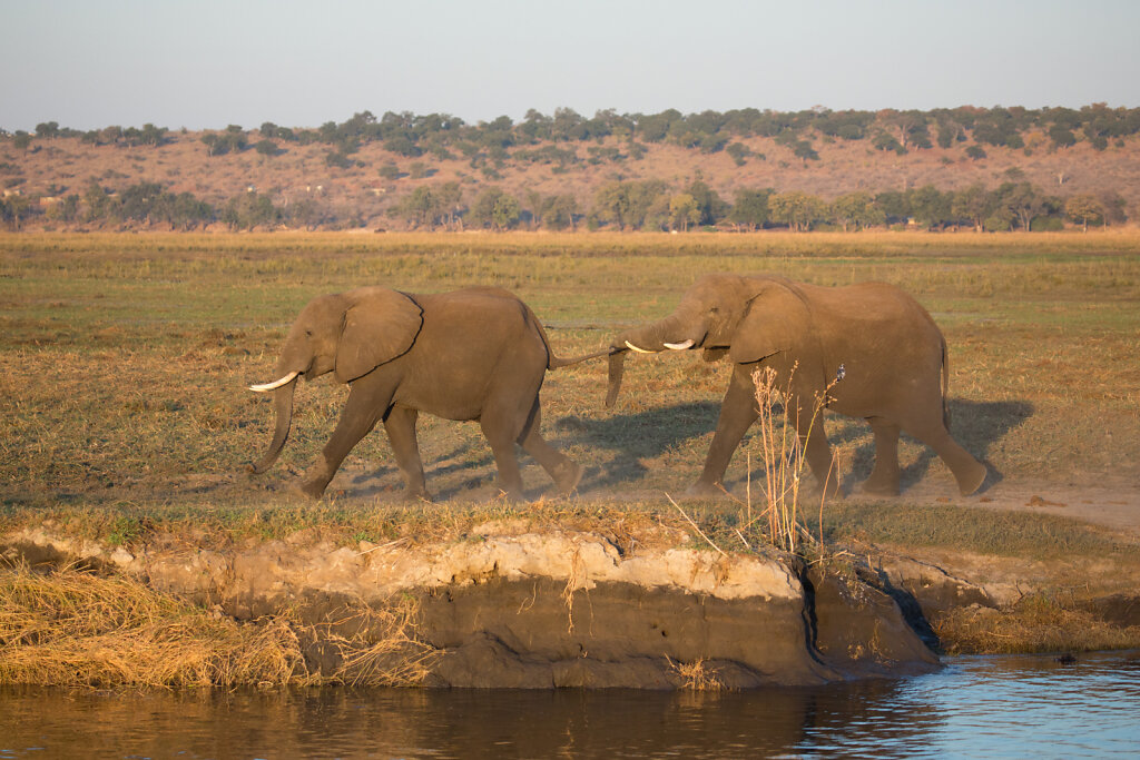 Botswana 2014