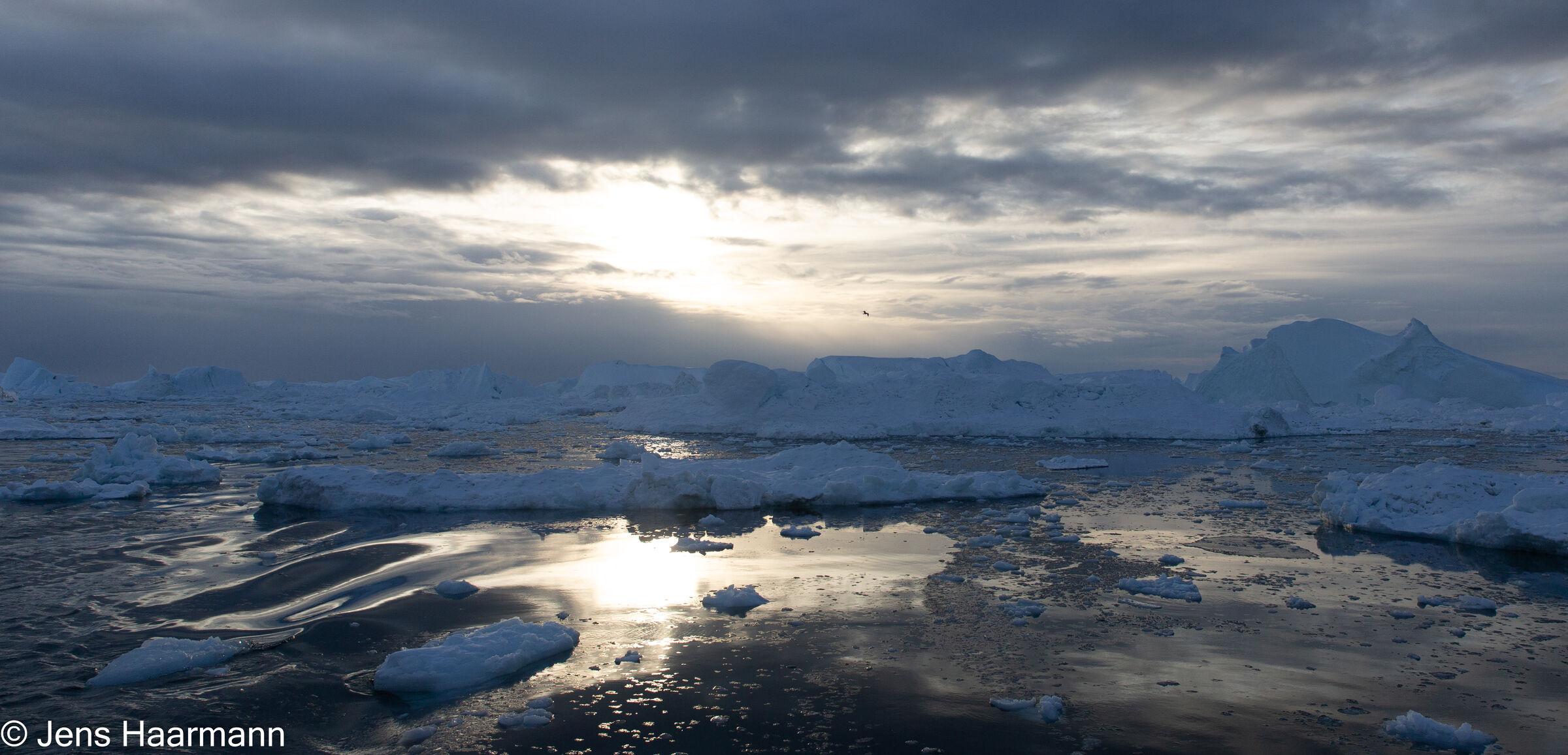 Eisberge und Treibeis