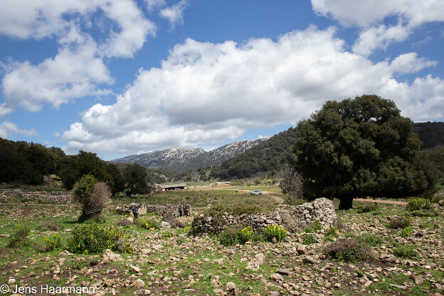 Supramonte