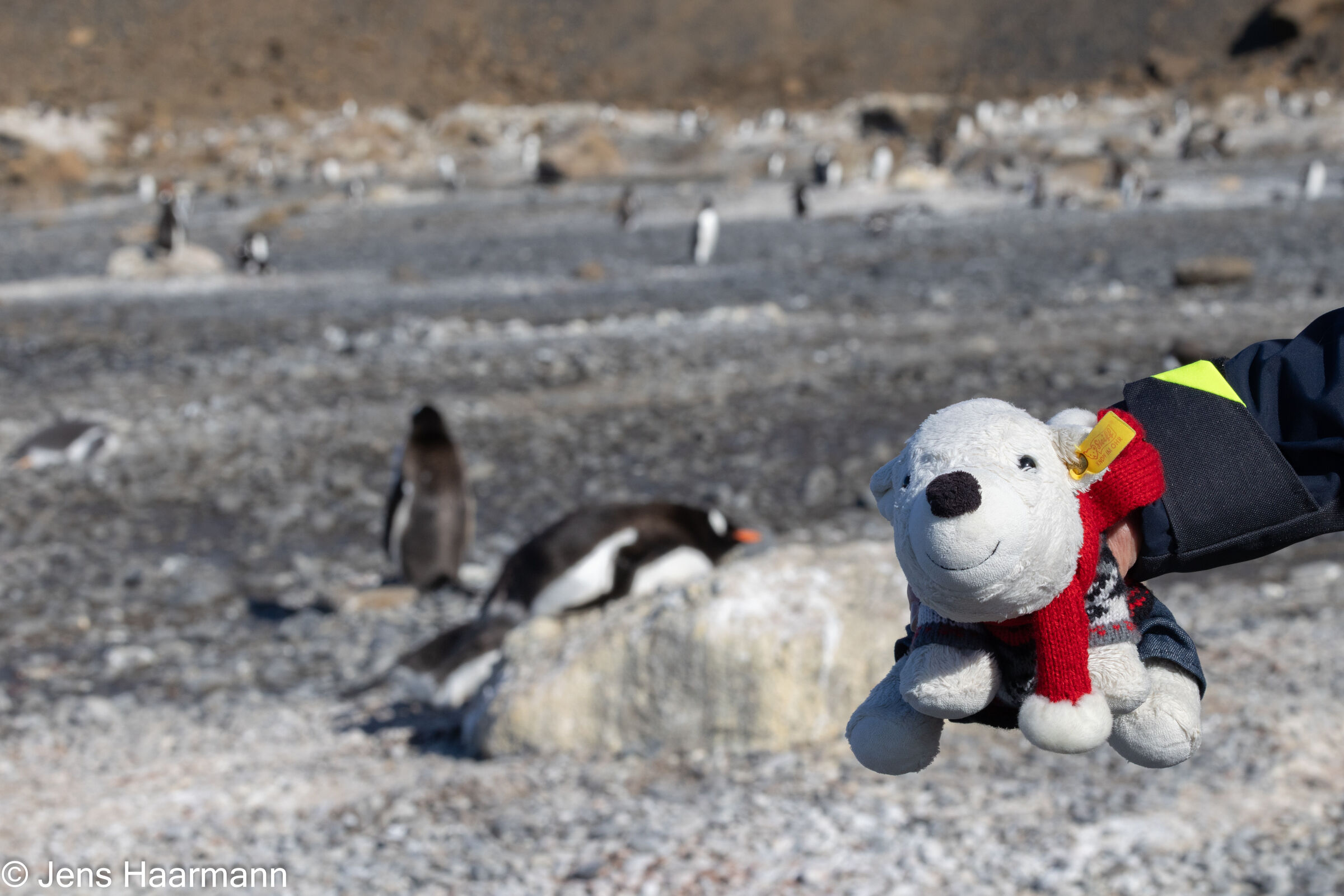 Antarktische Halbinsel